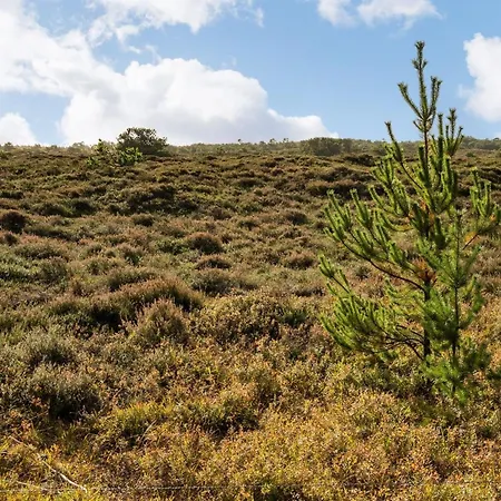 بيت للعطل Ilona - 2km From The Sea By Interhome Kongsmark