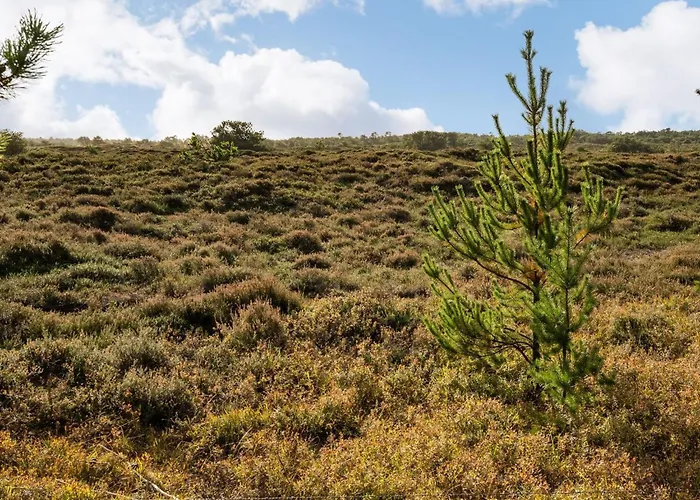 Holiday home Ilona - 2km From The Sea By Interhome Kongsmark